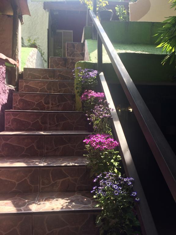 Mi Aldea Holistica Hotel Città del Messico Esterno foto
