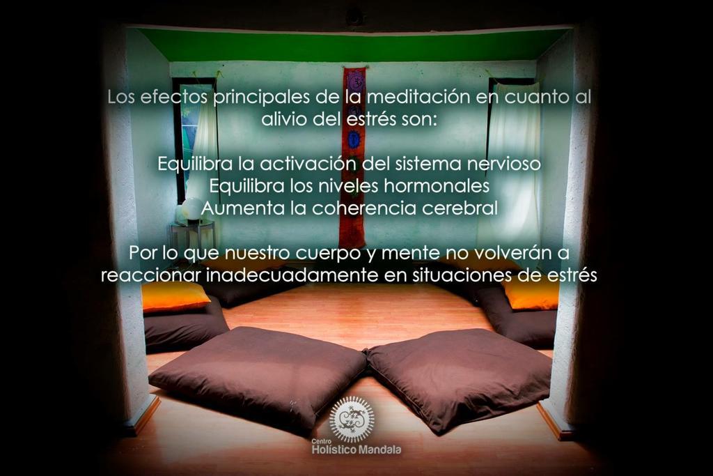 Mi Aldea Holistica Hotel Città del Messico Esterno foto