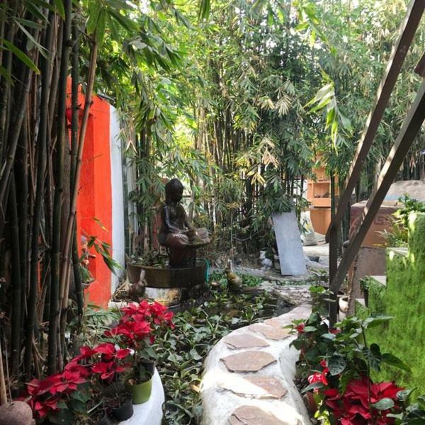 Mi Aldea Holistica Hotel Città del Messico Esterno foto